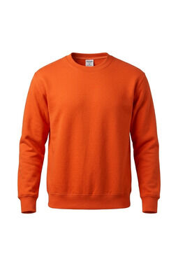 NWOT Boys Hanes Ecosmart Sweatshirt size Medium 10-12